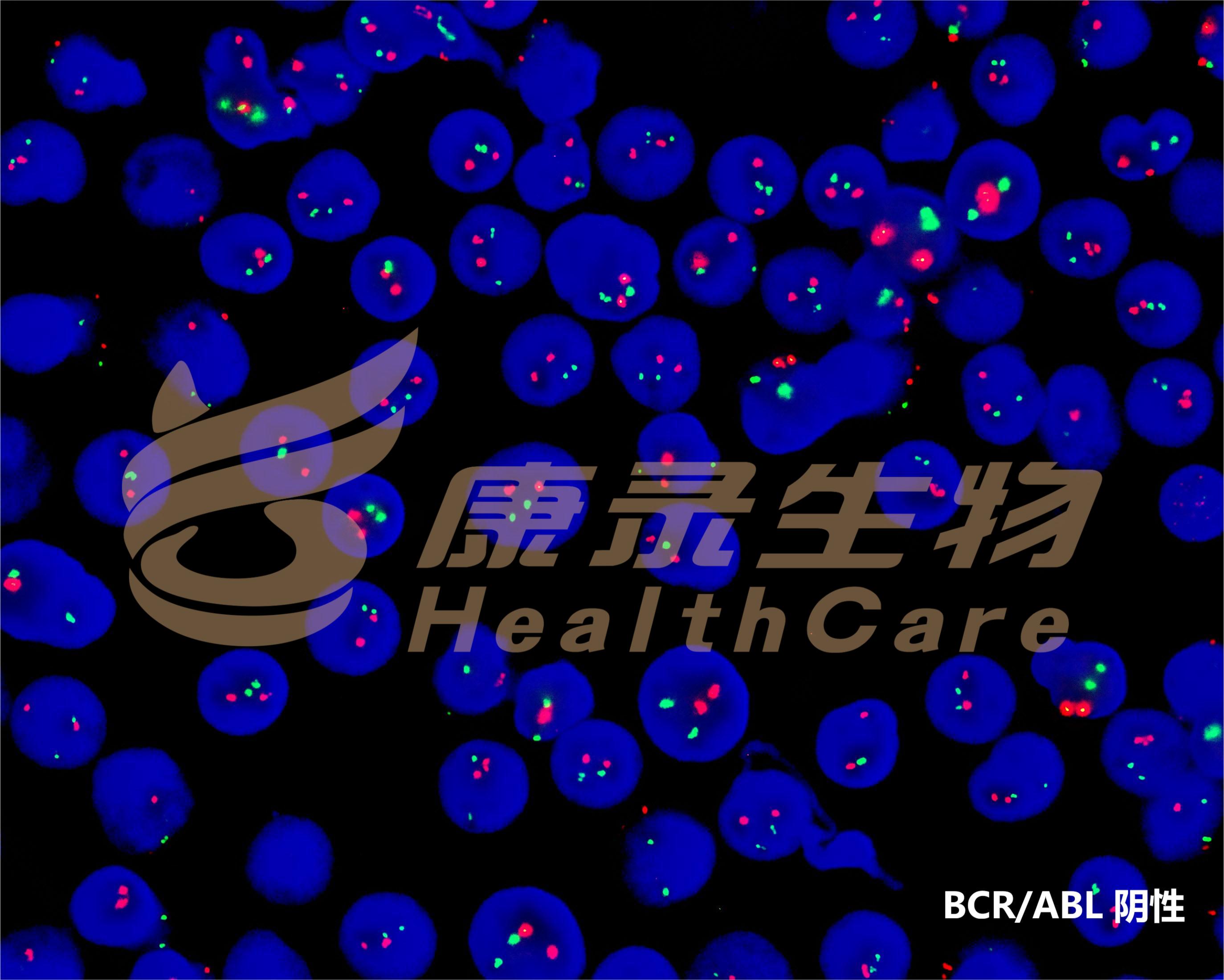 中国·拉斯维加斯(3499·官方认证)网站-Officialwebsite